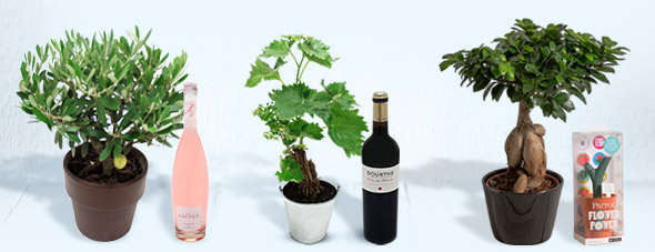 Livraison de fleurs et cadeaux pour la Fête des Pères